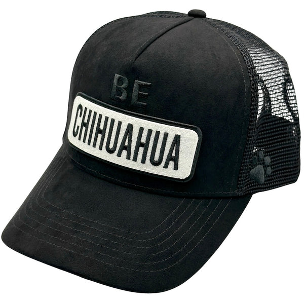 CHIHUAHUA HAT