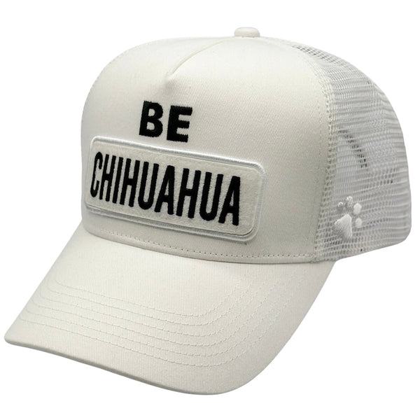 CHIHUAHUA HAT